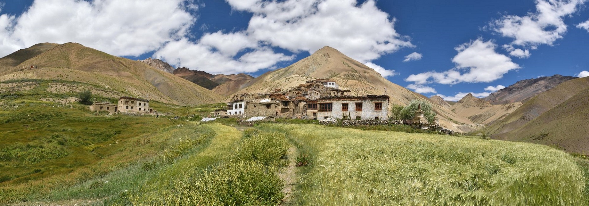 Zanskar spring