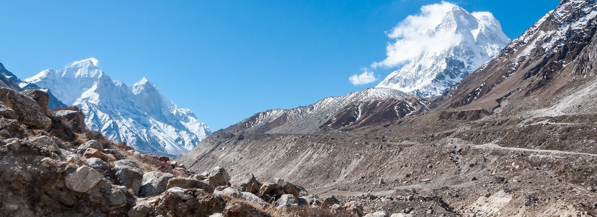 Gangotri Gaumukh Tapovan
