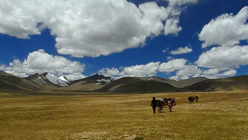 Ladakh Peaks and Passes of Rupshu Valley